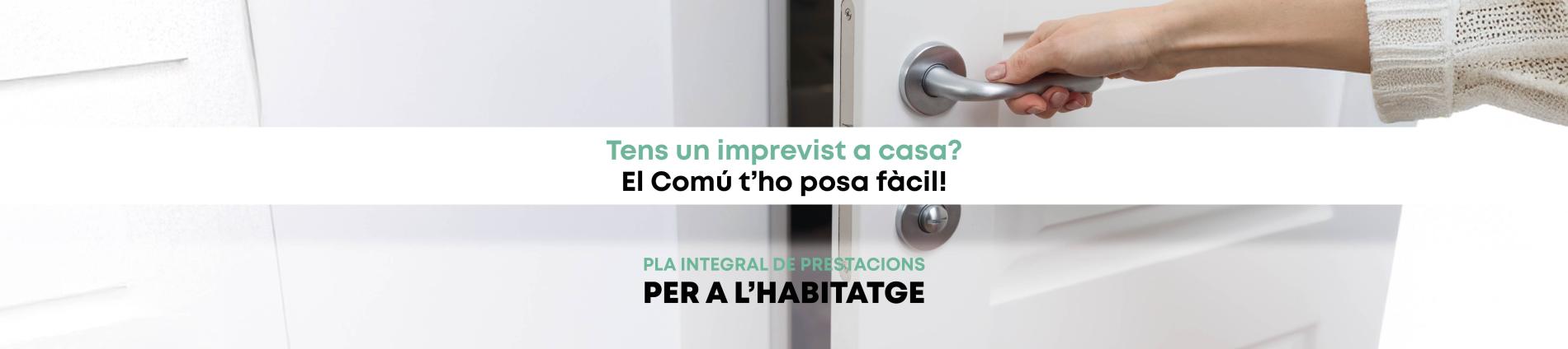 ALV