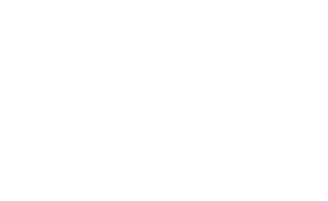 ALV